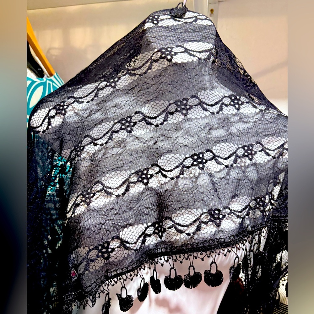 Gorgeous Lace Scarf black with embroidery edges $7 when bundled